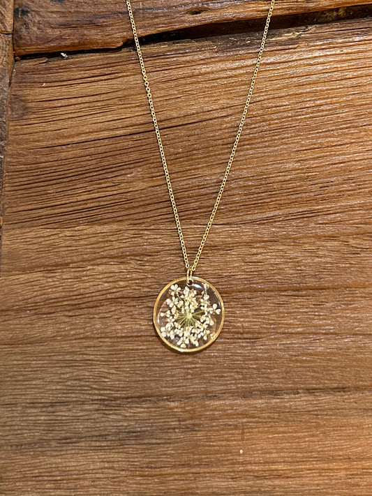 URRE KOLOREKO KOILARE LOREDUNA