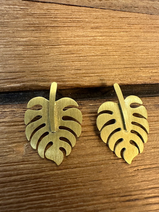 HOSTODUN URRE KOLOREKO BELARRITAKOAK