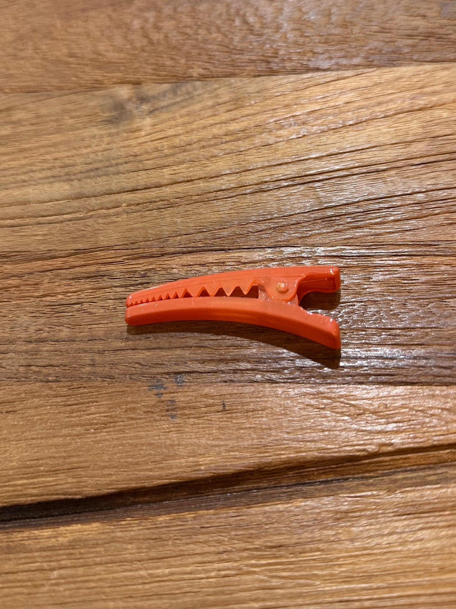 GANTXO PINTZA TXIKIA